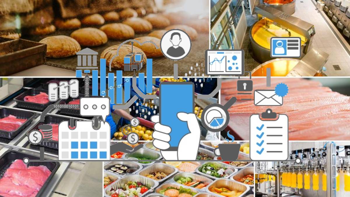 Meals Traceability Tool: Bettering Meals Protection, Potency, and Shopper Self belief