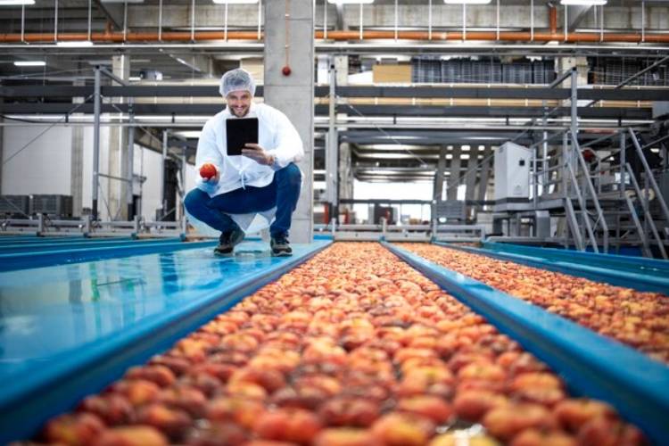 The Need for Food ERP in Food Manufacturing EcoDocsPro