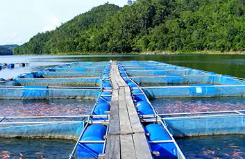 agri-industry-aquaculture-img