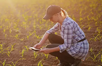 agri-industry-crop-production-img