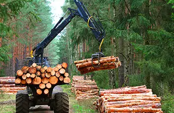 agri-industry-forestry-and-logging-img