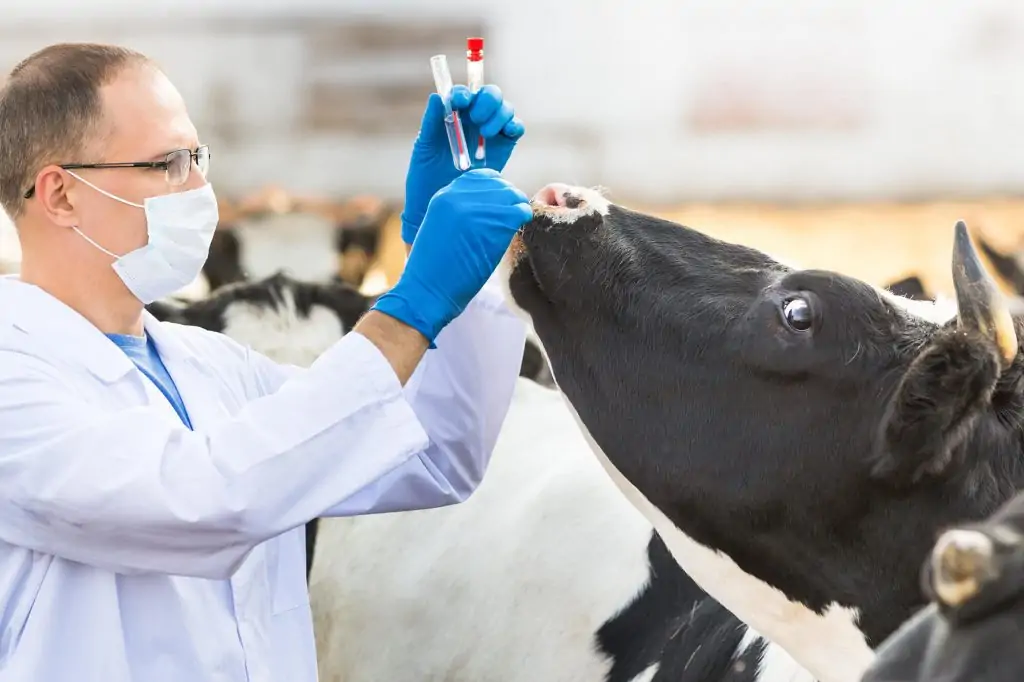 FDA Inspection Checklist