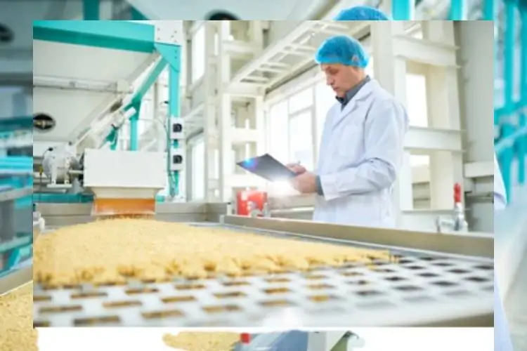 Food Audit Tips