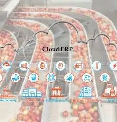 Cloud ERP