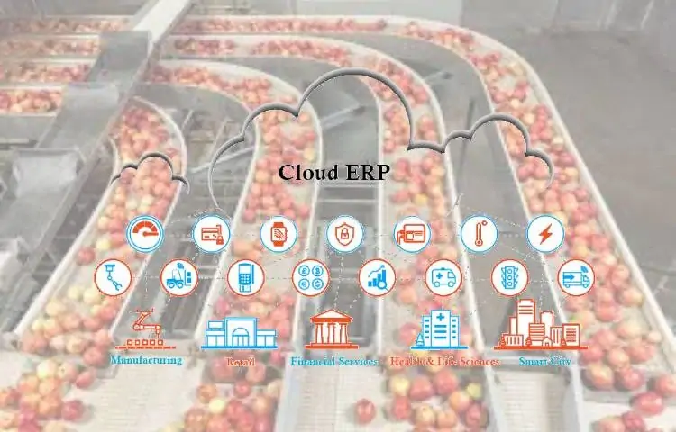 Cloud ERP