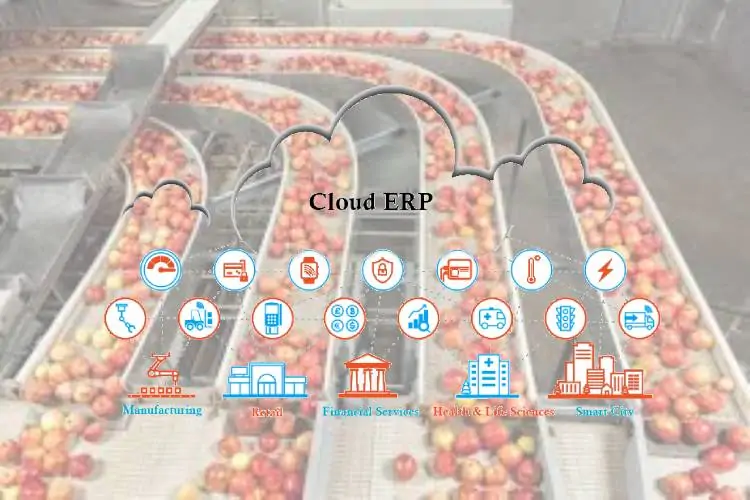 Cloud ERP