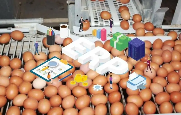 Egg Producers